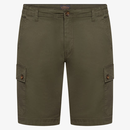 KenSi Shorts+ - Green Wood